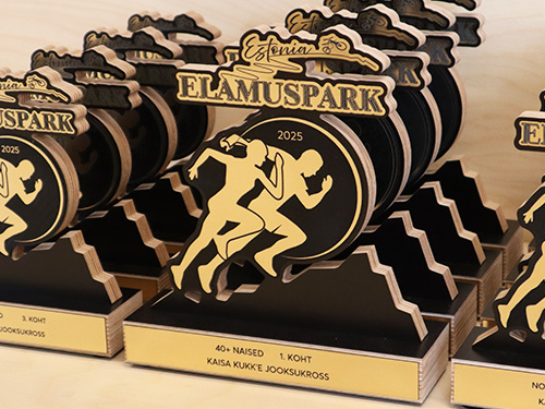 karikad kiirelt - auhinnad