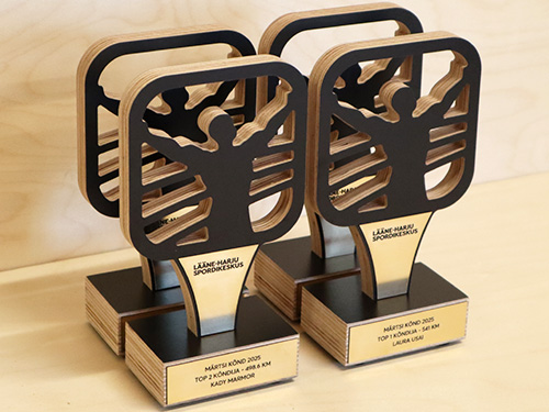 auhindade müük - karikate müük