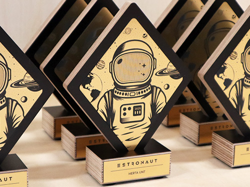 auhinna karikate tegemine