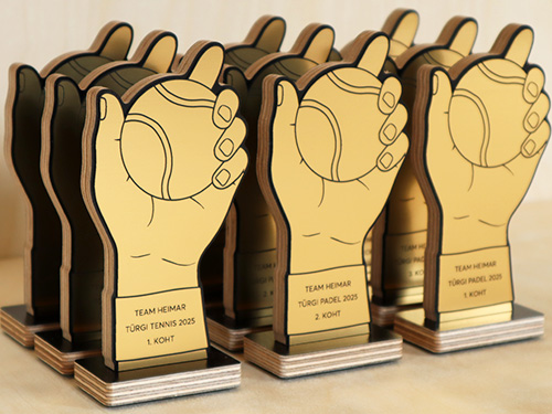 auhindade tellimine - pisikesed karikad