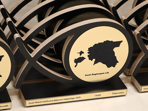 puidust karikas - auhinnad