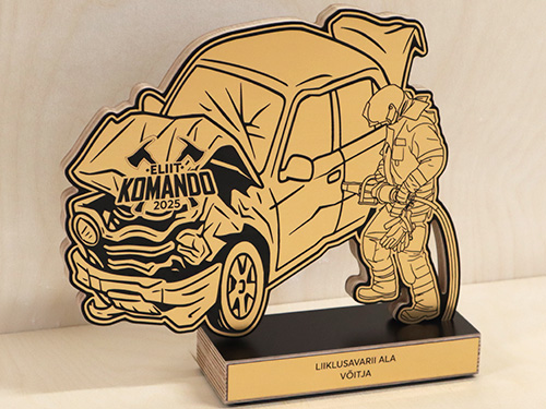 auhinnad - puidust karikas