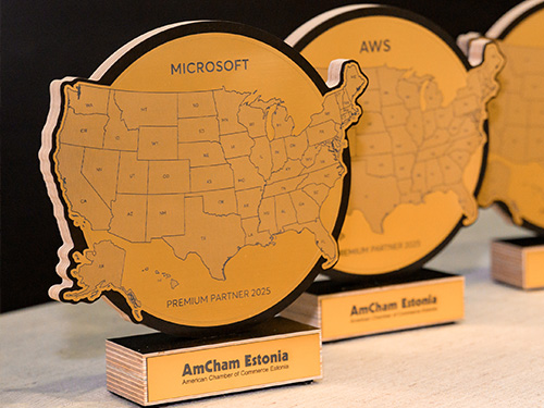 puidust karikas - Foto Rasmus Pitkänen